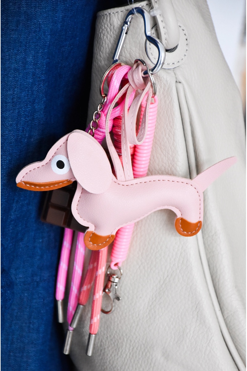 astra CHIEN ROSE DIVERS