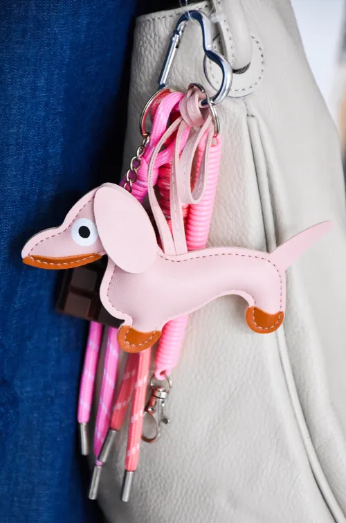 astra CHIEN ROSE DIVERS