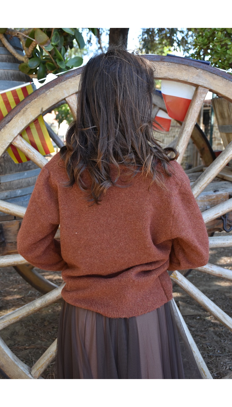 Pull Maille Rouille LOUISE