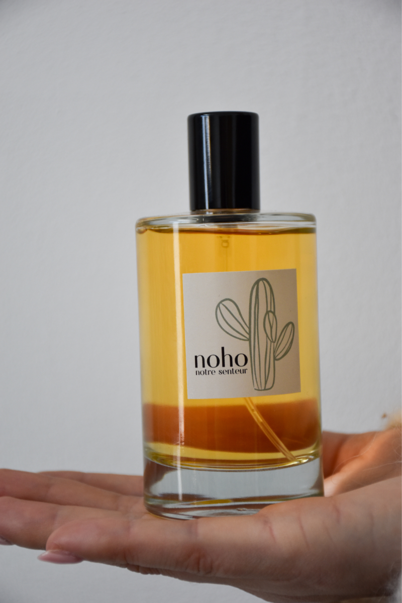 MODE ET CONCEPT DIFFUSE MODESC AMBIAN NOHO DIVERS