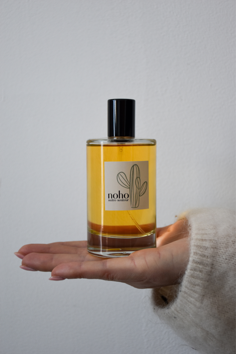 MODE ET CONCEPT DIFFUSE MODESC AMBIAN NOHO DIVERS 2