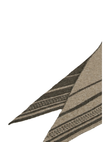 Echarpe Marron Beige VICALLIS