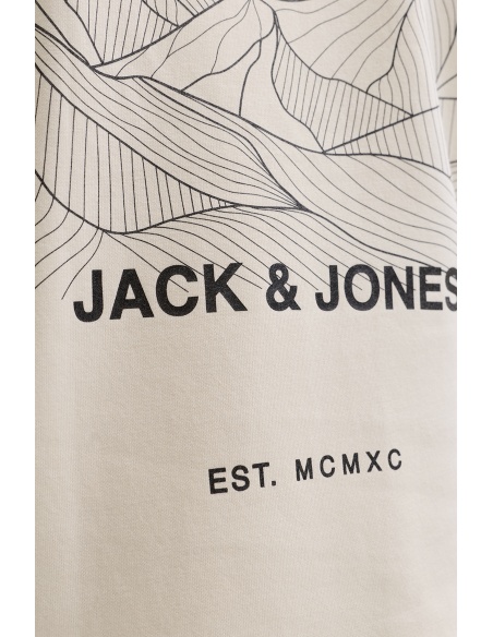 JACKandJONES WHITEC APGRAY SWEAT