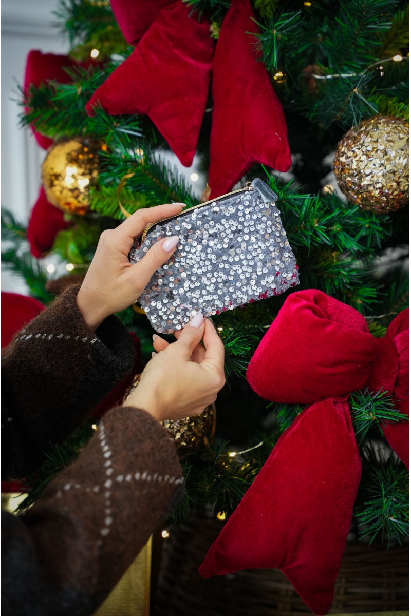 ANOUCHCA SEQUIN ARGENT POCHETTE