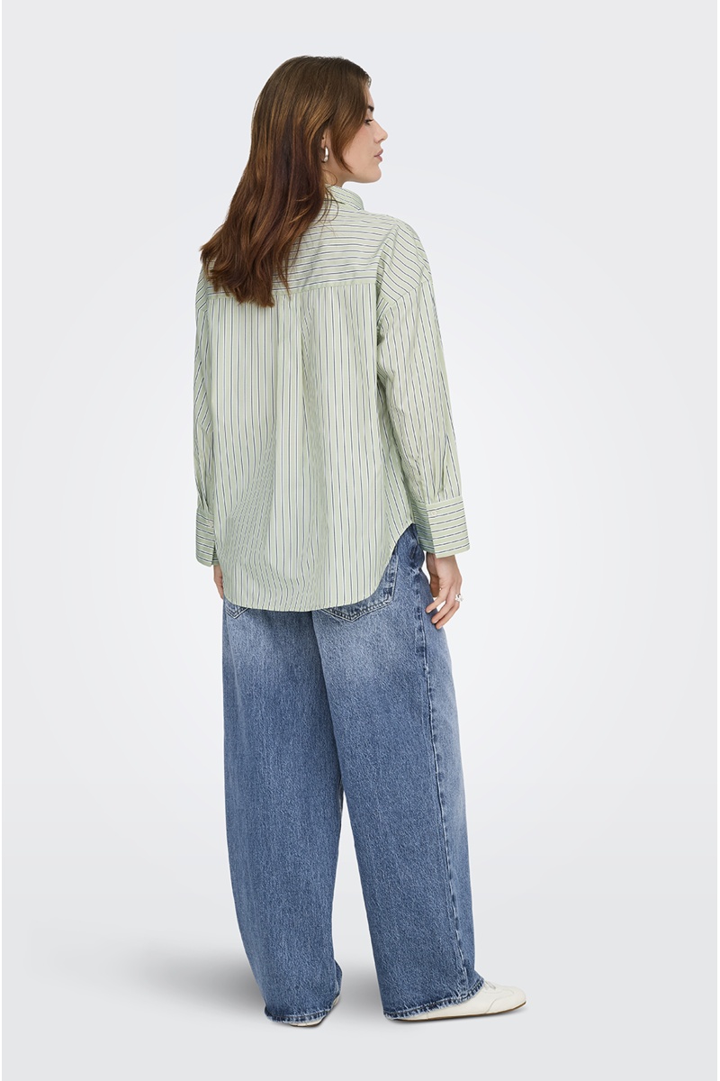 CELADO GREEN CHEMISES ML 2