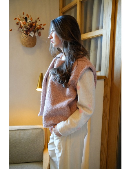 Gilet Maille Poudré CLAUDIA