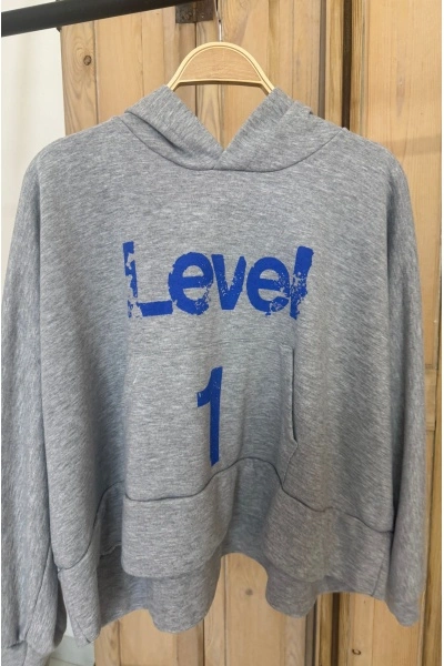 Sweat Gris Level Banditas BIRCH