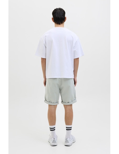 Shorts Aqua Grey JPSTBOWIE