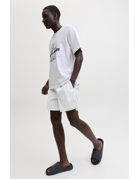 Himmlische blaue Badeshorts JPSTKAUAI