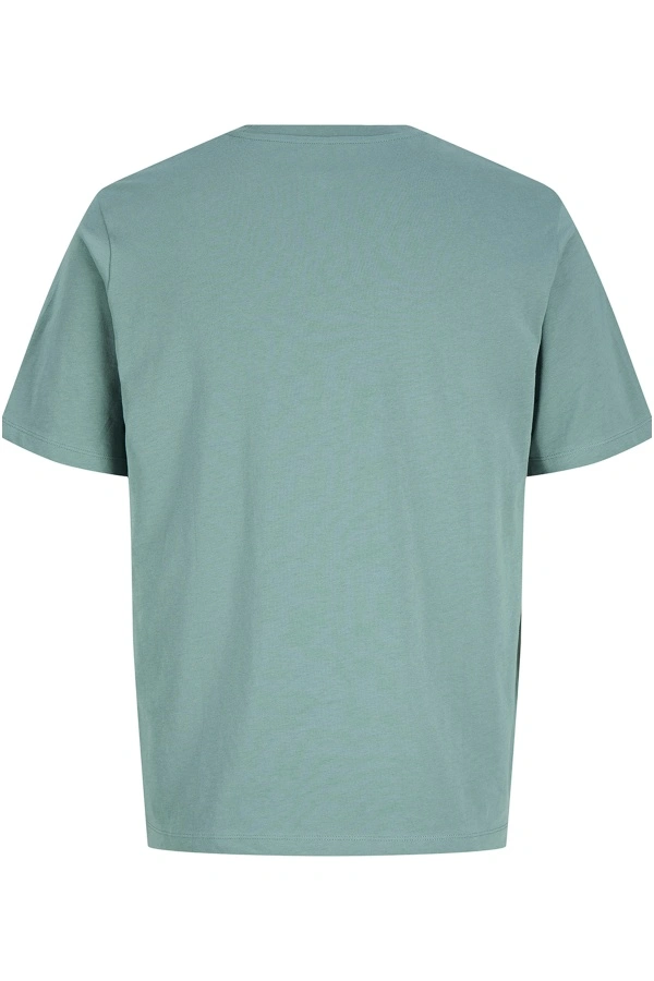 T-shirt Sagebrush Green JPRBLAOSCAR 2