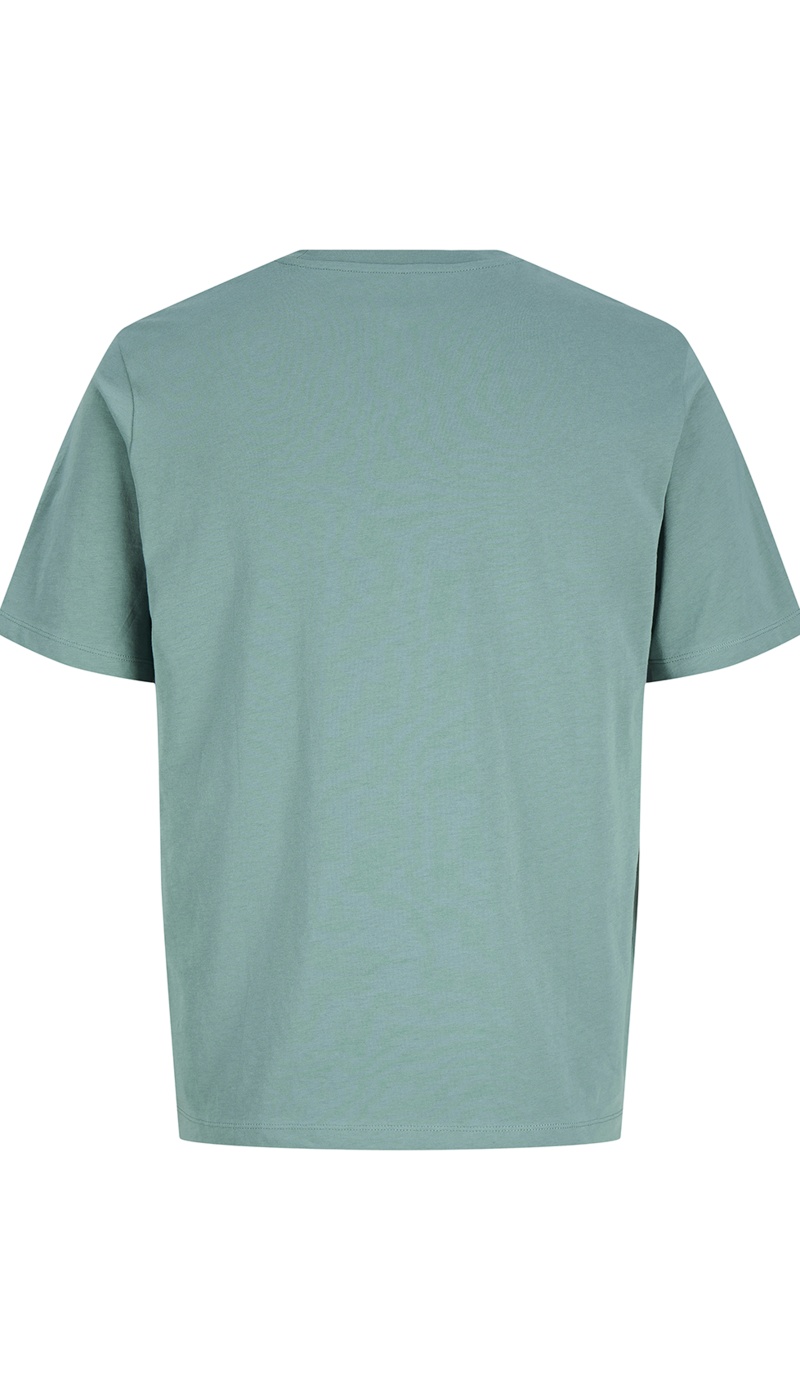 T-shirt Sagebrush Green JPRBLAOSCAR