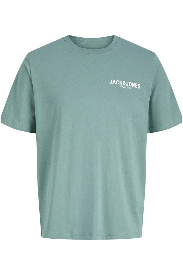 T-shirt Sagebrush Green JPRBLAOSCAR