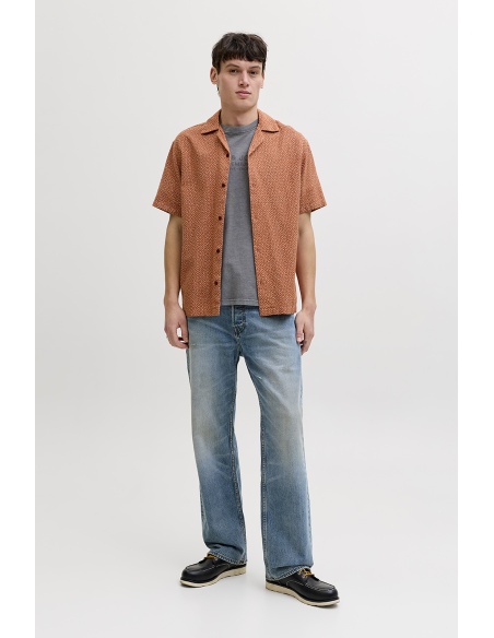 CAMISAS ALGODÓN ML 176102