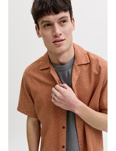 CAMISAS ALGODÓN ML 176102