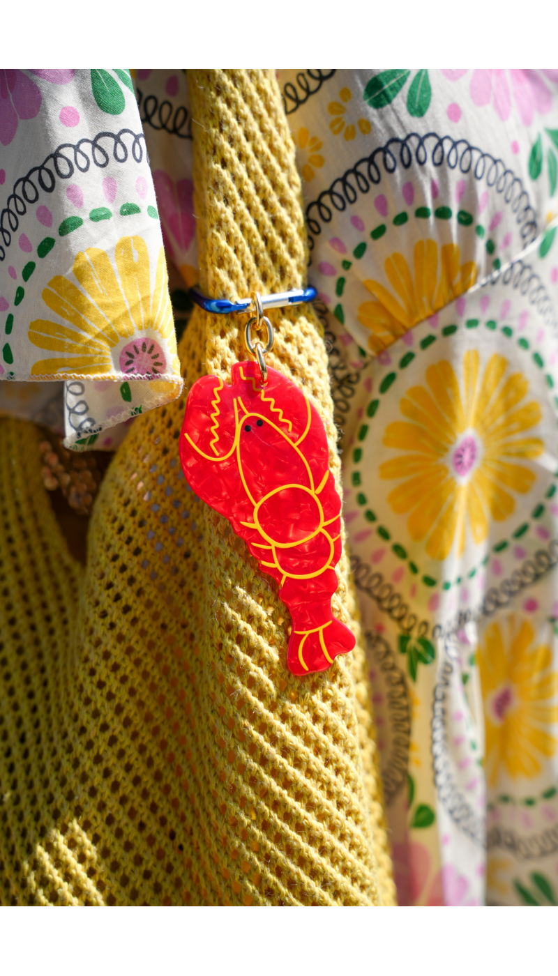 Accessoires Homard Rouge E26 - Élégance et Style