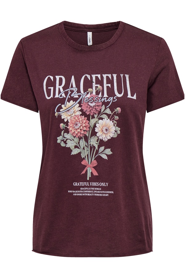 Anmutiges Feigen-T-Shirt ONLLUCY