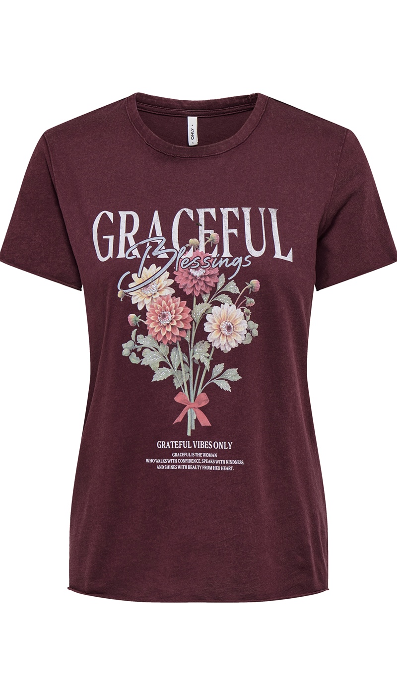Graceful Fig T-shirt ONLLUCY