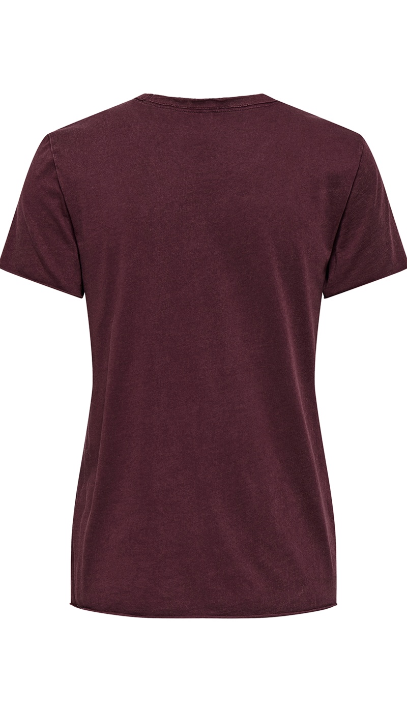 Graceful Fig T-shirt ONLLUCY