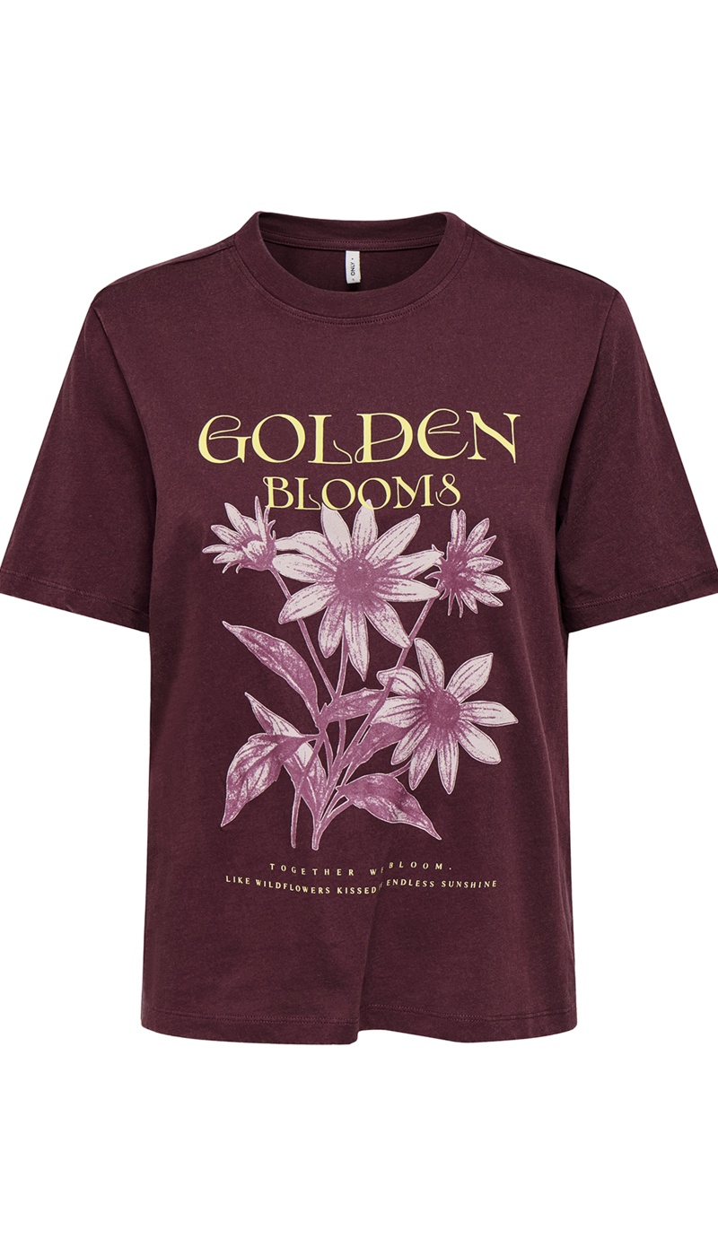 Fig Flowers T-shirt ONLLUCY