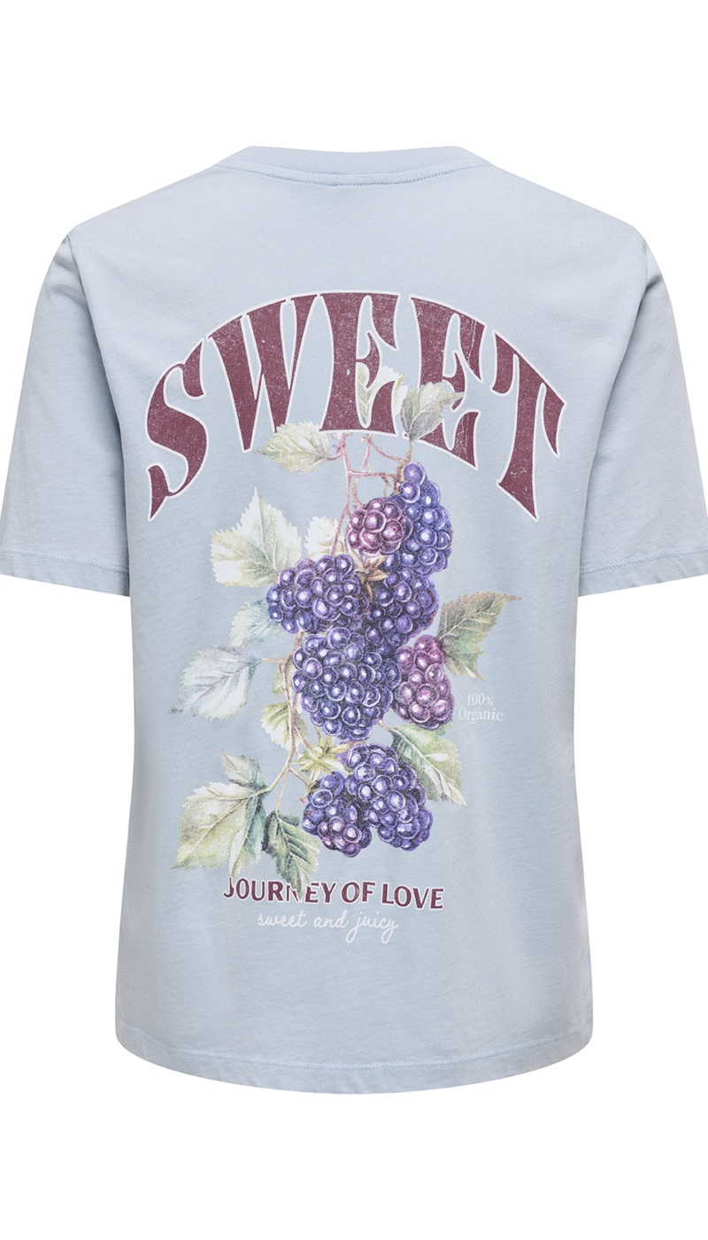 Mure Dusty Blue T-Shirt ONLLUCY