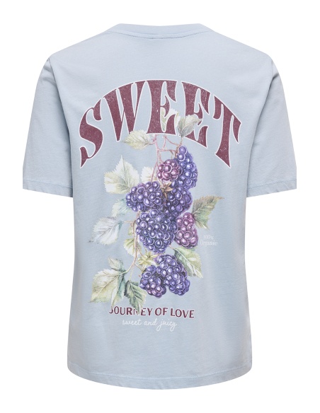 Mure Dusty Blue T-Shirt ONLLUCY