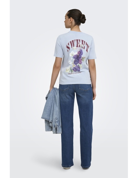 Mure Dusty Blue T-Shirt ONLLUCY