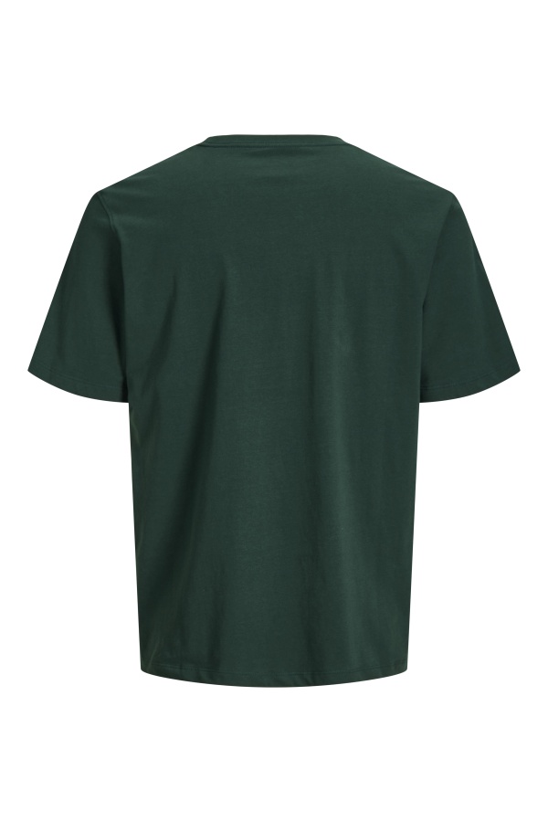 T-Shirt Logo Pine Grove JORFREDERIKSBERG Jack&Jones - 1 | HAUTS 2