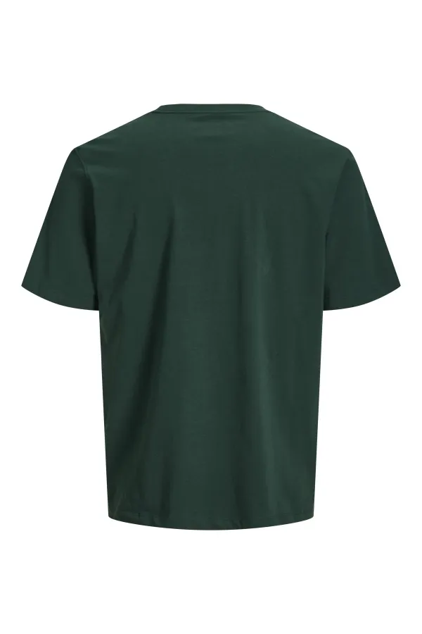 T-Shirt Logo Pine Grove JORFREDERIKSBERG Jack&Jones - 1 | HAUTS 2