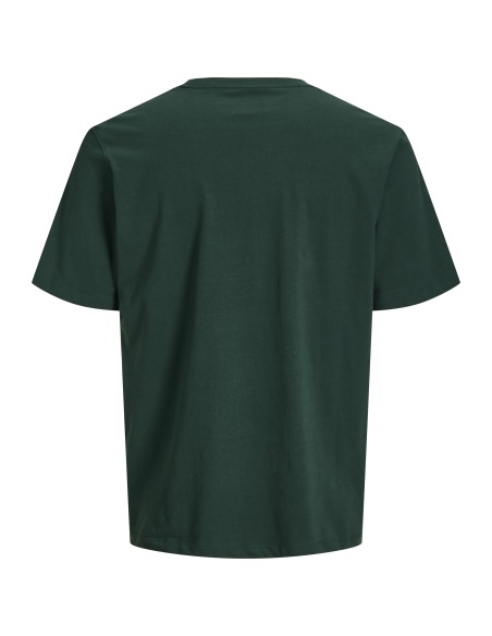 T-Shirt Logo Pine Grove JORFREDERIKSBERG Jack&Jones - 2 | HAUTS